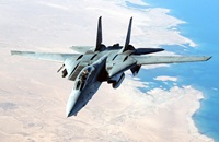 Grumman F-14 Tomcat-4 - Jet